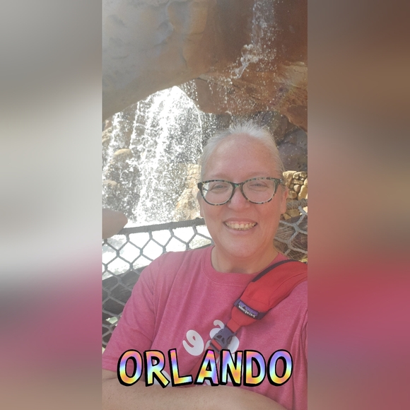 Pop up live show FLS - Picture 7 of 16